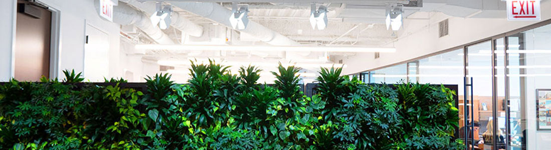 Cielux Track Lighting for IRVINE COMPANY LIVING WALL