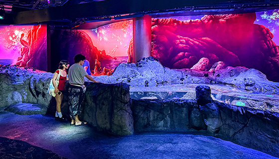 Cielux LED for Florida Aquarium Touch Pool