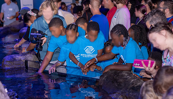 Cielux LED for Florida Aquarium Touch Pool