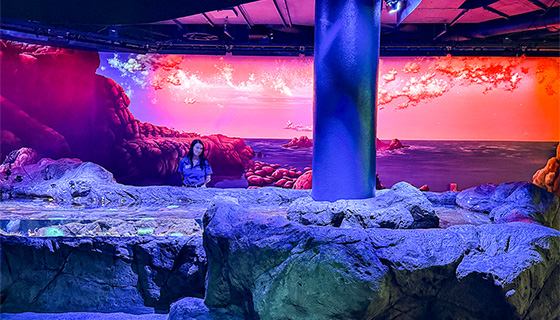 Cielux LED for Florida Aquarium Touch Pool