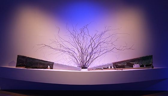 Cielux LED for Scottsdale Museum of Contemporary Art