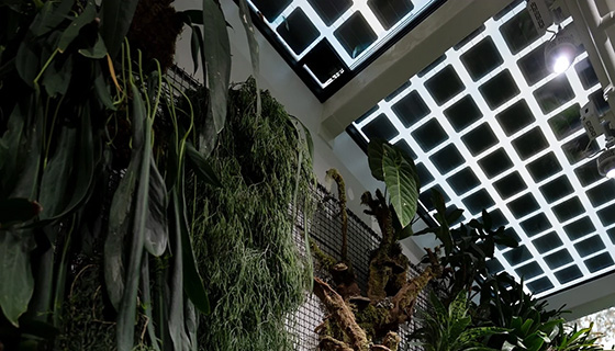 Cielux LED for Cascada Thermal Springs