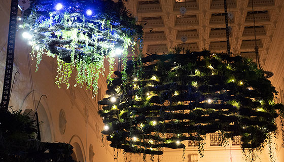 Cielux LED for Chicago Field Museum
