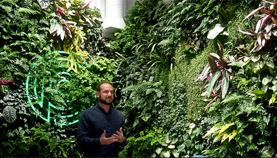 Cielux LED for Prolific Machines Living Wall