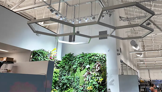 Cielux LED for Prolific Machines Living Wall